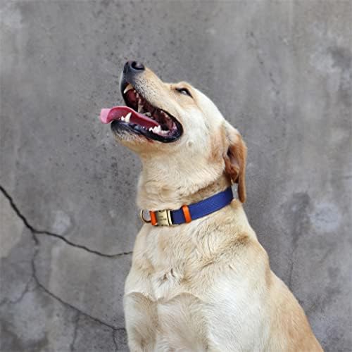 DHTDVD Naylon Büyük köpek tasması Özel Köpek Adı Yaka Pet Kazınmış İsim telefon tasması Retriever Yürüyüşü için (Renk: