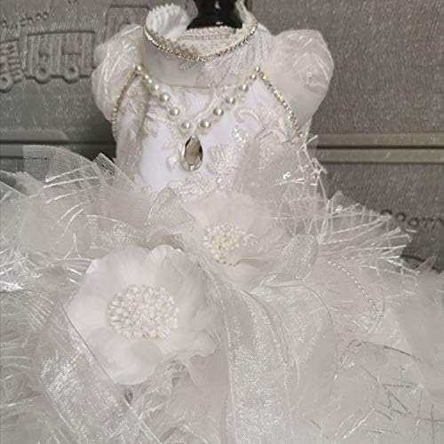 WZHSDKL El Yapımı köpek giysileri düğün elbisesi Peri Masalı Klasik Beyaz Dantel Balo Şapel Tren Evcil Hayvan Firar
