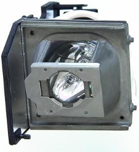 Optoma BL-FU220A için Yedek Lamba HD72 ve HD73 ev sineması projektörü (Üretilmiyor Üretici tarafından)