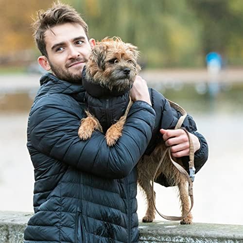 HUGO & HUDSON Tweed Evcil Köpek Tasması - Yastıklı Saplı 4 ft Eğitim Tasması-Küçük, Orta ve Büyük Köpekler için Hızlı
