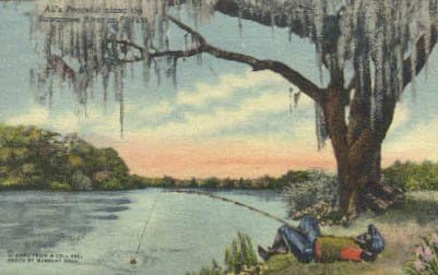 Suwannee Nehri, Florida Kartpostalı
