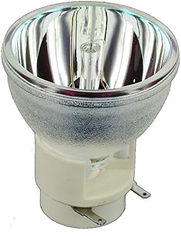 A. parlaklık 240 Watt Orijinal Çıplak lamba ampulü 5J.J9H05.001 Projektör için BenQ HT1075