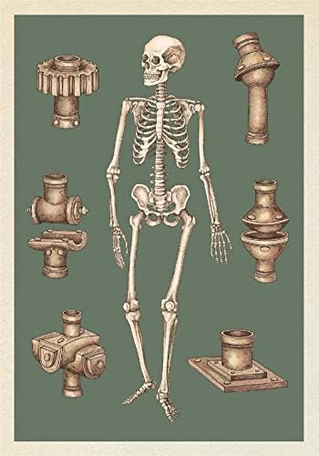 Büyük Resim Basın Anatomicum Kartpostal Kutusu: Müzeye Hoş Geldiniz